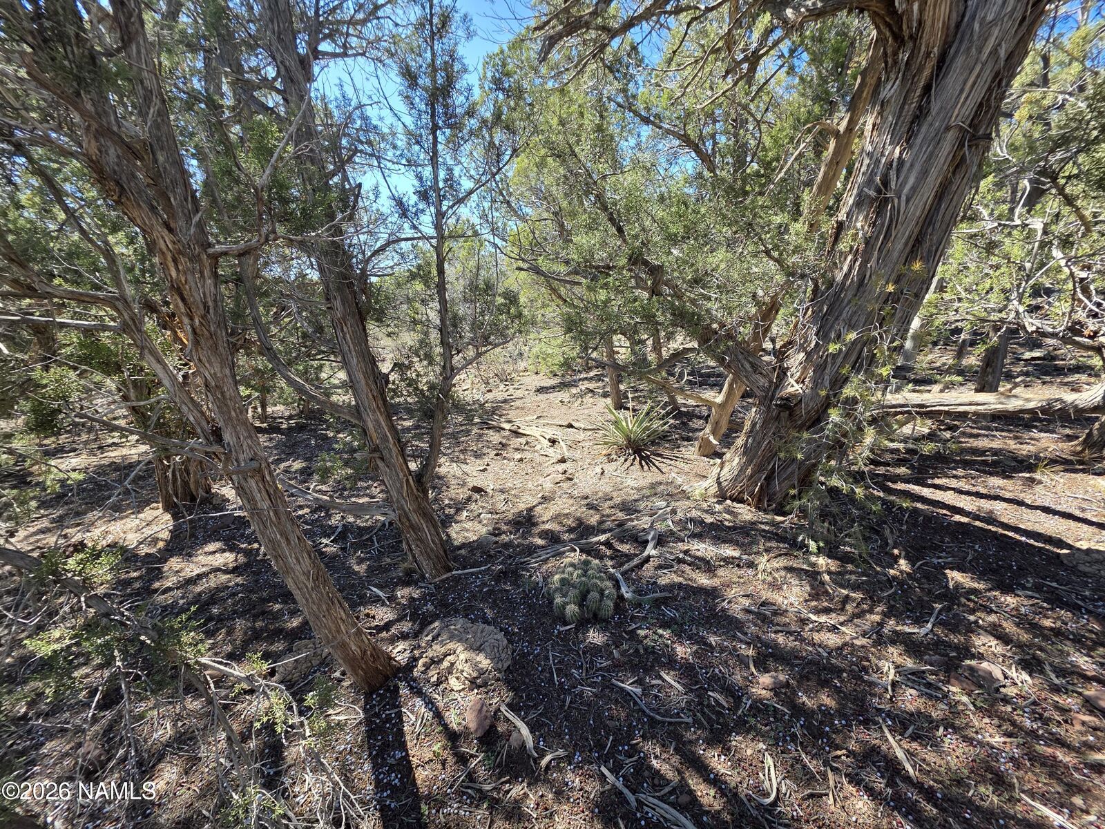 Property Photo:  Parcel #205-33-005  AZ 86046 
