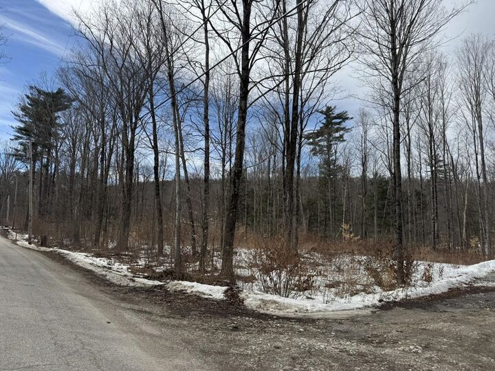 Property Photo:  17 Chamberlain Drive  VT 05769 