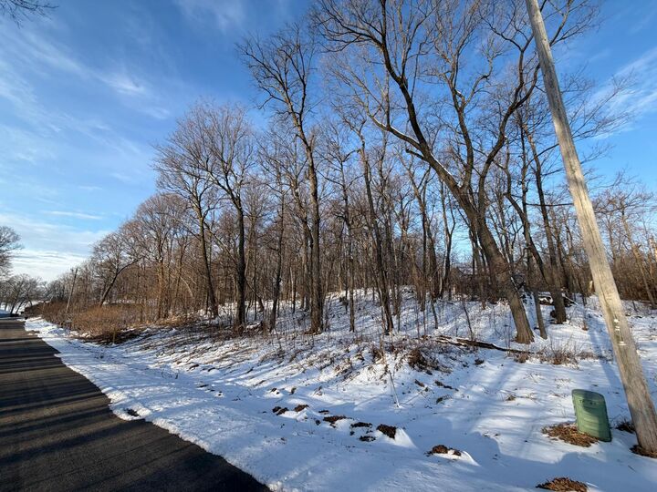 Property Photo: Lots 120 &Amp 121 Earle Brown Drive MN 56450