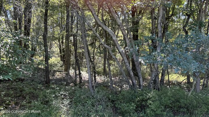 Property Photo:  Lot 45 Elk Dr Lot 45 Drive  PA 18610 