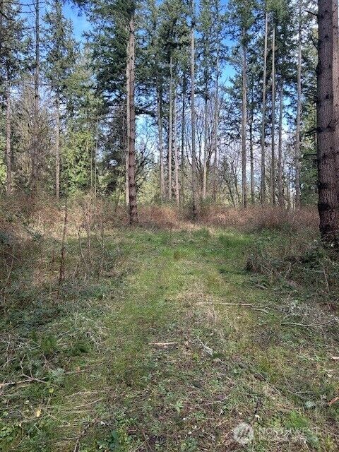 Property Photo: 0 Xxx Hellman Road WA 98236