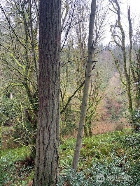 Property Photo:  0 Xxx  Hellman Road  WA 98236 