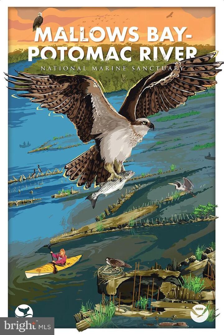 Property Photo:  8965 Riverside Road  MD 20662 