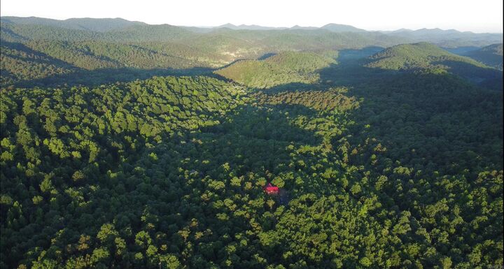 Property Photo:  383A Massey Lane  AR 71953 