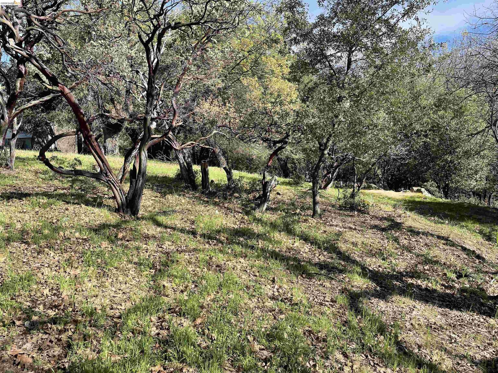 Property Photo:  16505 S Creekside Dr  CA 95370 