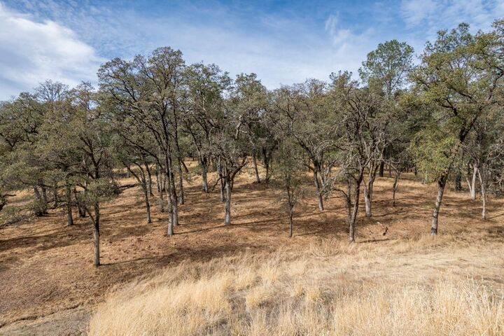 Property Photo: 23272 Darkhorse Drive CA 95602