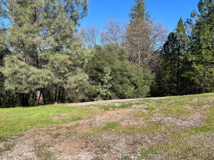 Property Photo: 23717 Darkhorse Drive CA 95602