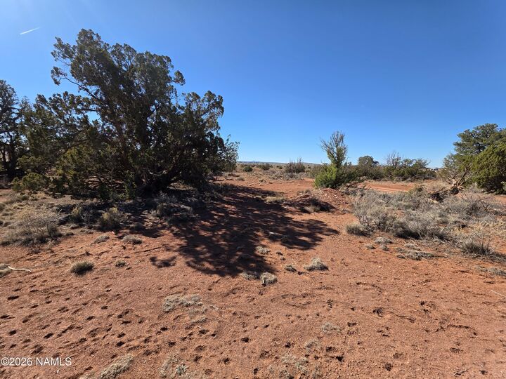 Property Photo:  2937 S Fair Oaks  AZ 86046 