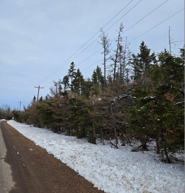 Property Photo: Acreage Roseberry Road PE C0A 1A0