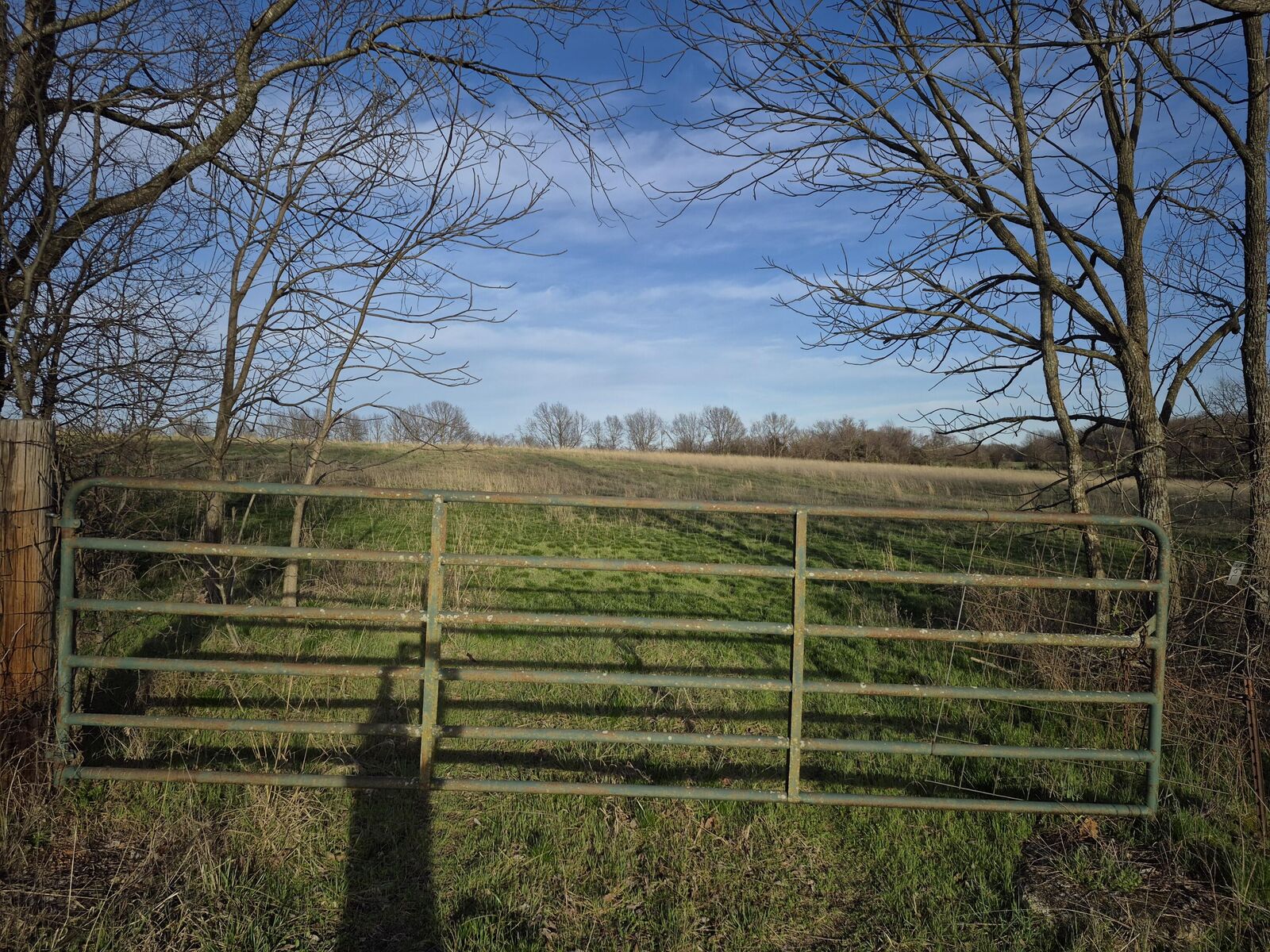 Property Photo:  000 S Farm Road 11  MO 65604 