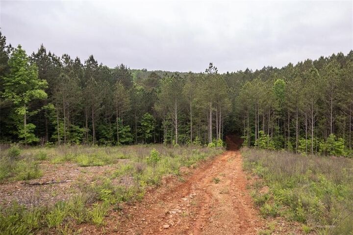 Property Photo:  0 Hidden Creek Road  GA 30143 