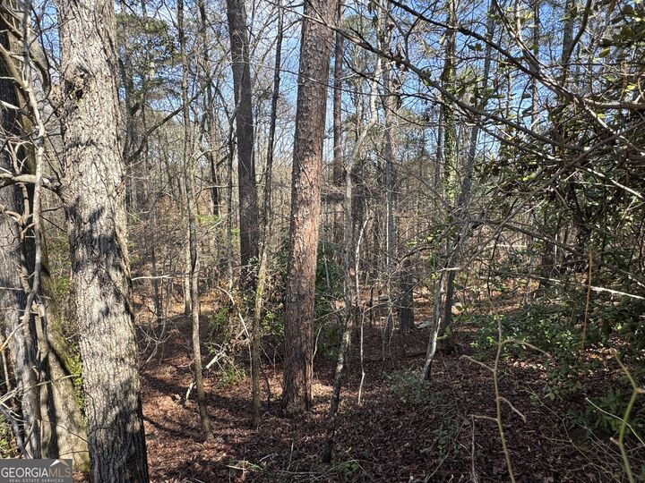 Property Photo: 1954 Wood Valley Road GA 31211