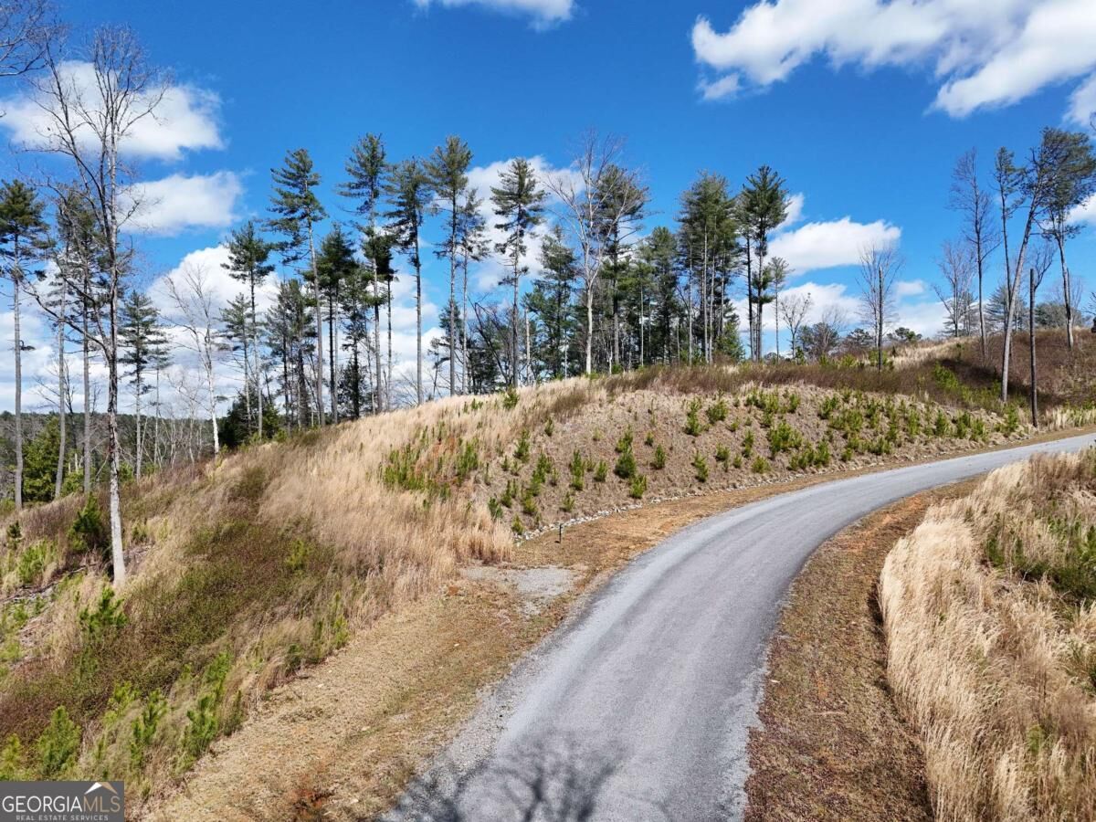 Property Photo:  Lot 253 High River Crossing  GA 30540 