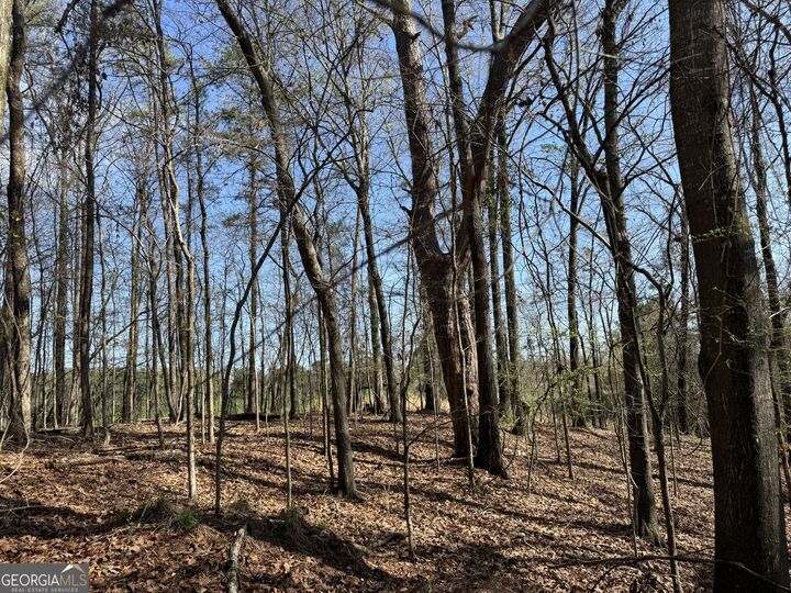Property Photo: 1972 Wood Valley Road GA 31211