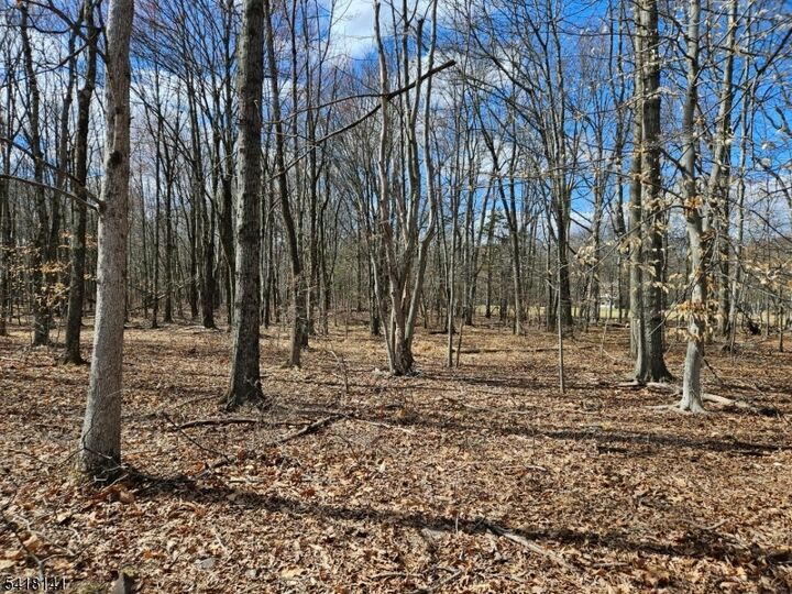 Property Photo:  33 Featherbed Ln  NJ 08822 