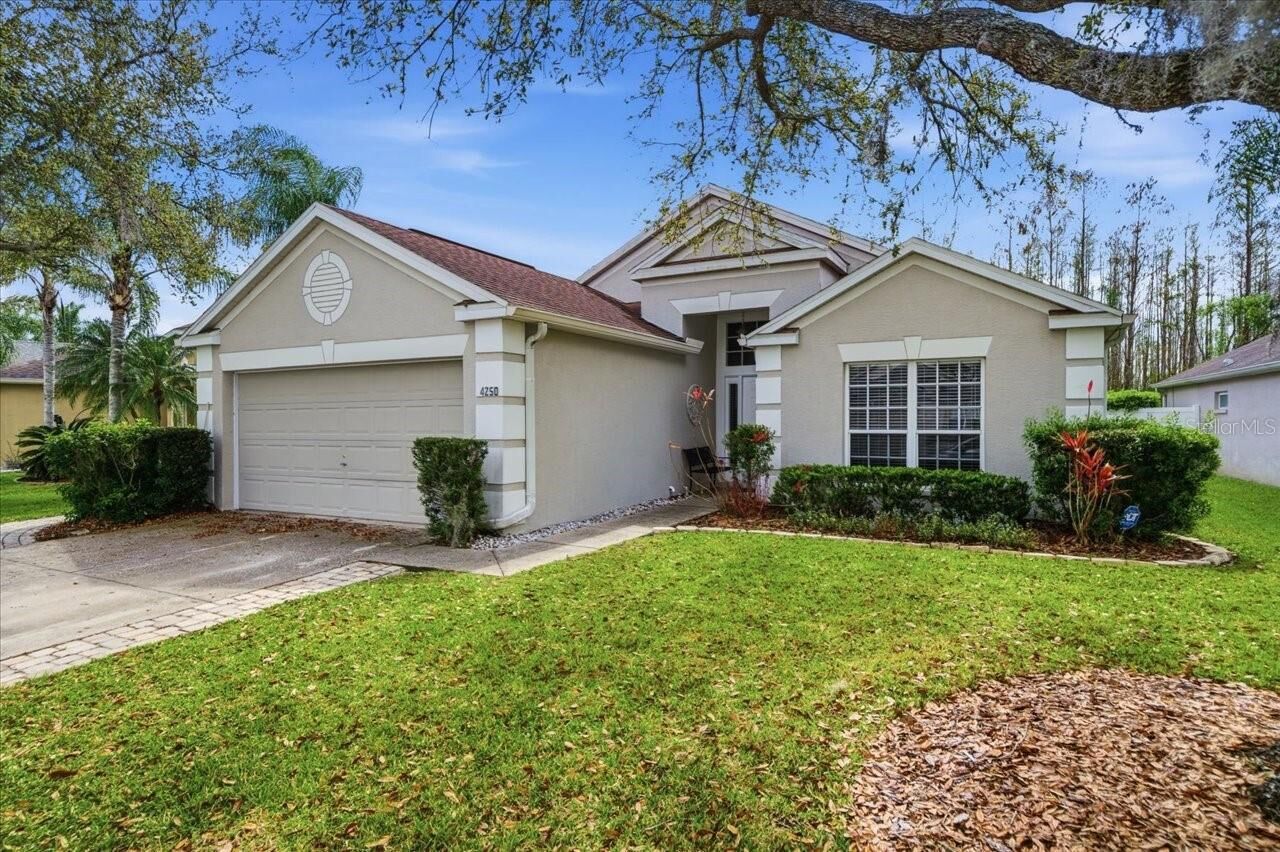 Property Photo: 4250 Pine Isle Drive FL 33558
