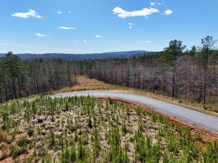 Property Photo:  155 Shallow Water Trail  GA 30175 