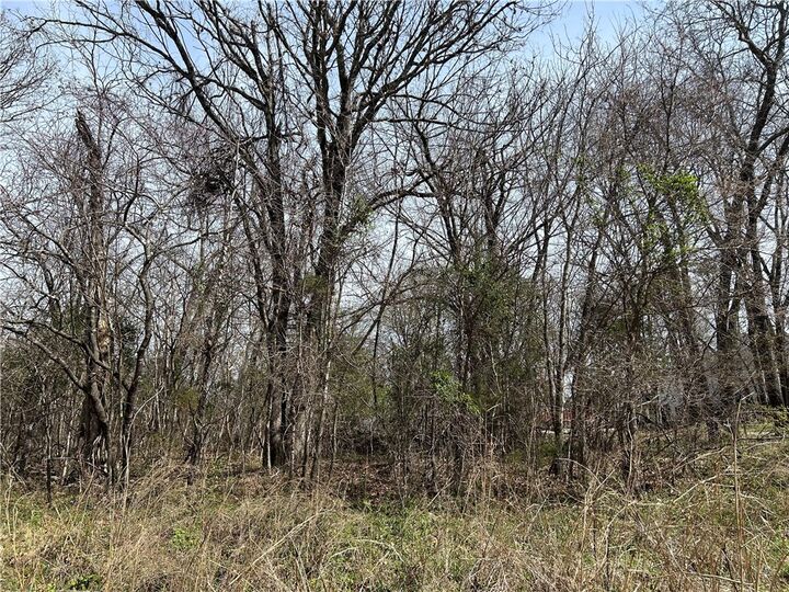 Property Photo:  Tbd Trammell (Lot 7) Drive  AR 72745 