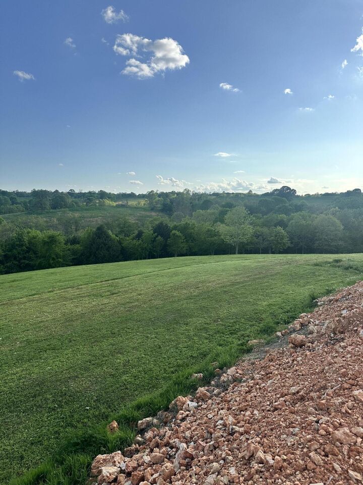 Property Photo:  000 Hog Ridge Court  MO 64854 