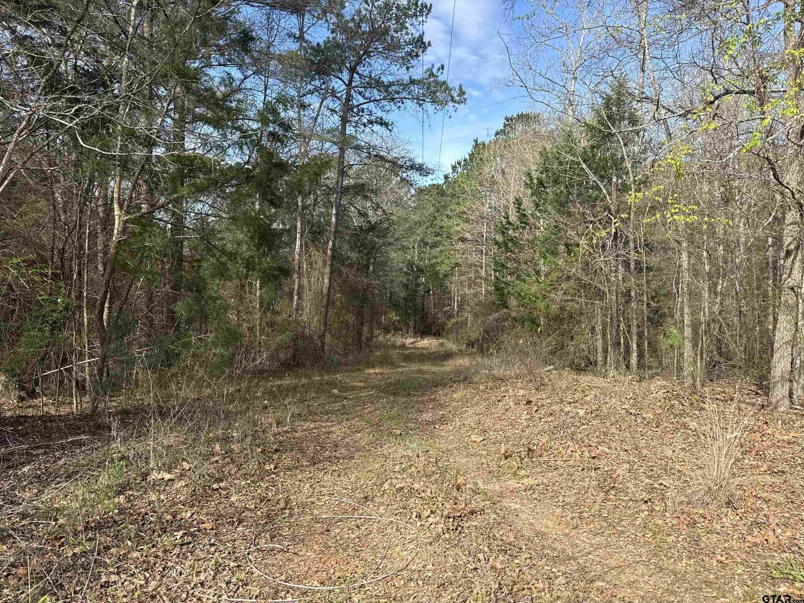 Property Photo:  15485 Cr 46  TX 75704 