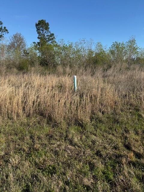 Property Photo:  661 Road 5816  TX 77327 