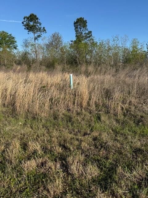 Property Photo:  661 Road 5816  TX 77327 