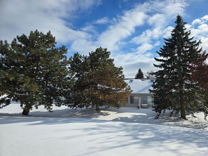 Property Photo:  7462 Hinton Park Avenue S  MN 55016 