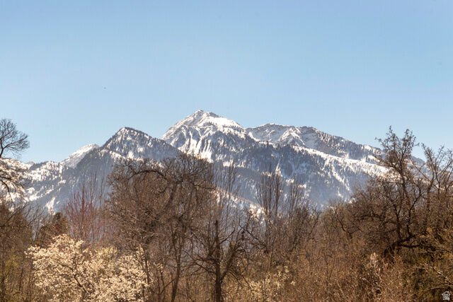 Property Photo: 2614 E Providence Ct 1 UT 84121