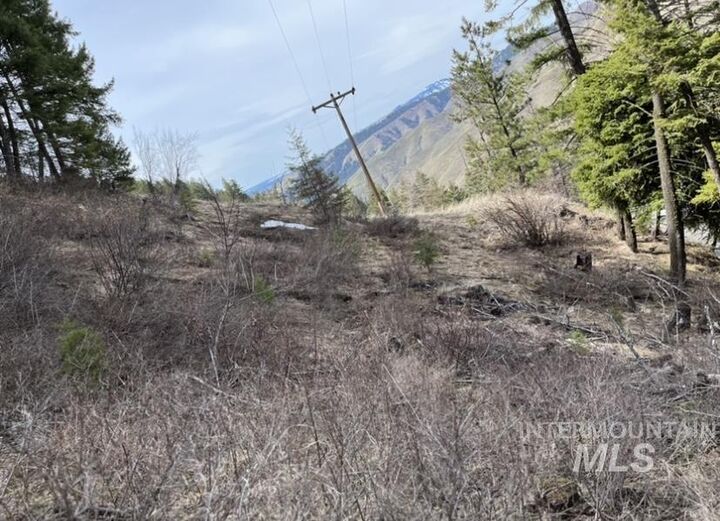 Property Photo: Tbd State Highway 129 WA 99401