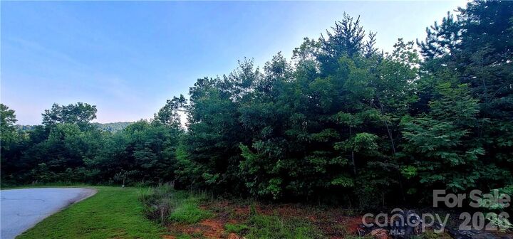 Property Photo: Lot 59 Bear Cliff Way NC 28746