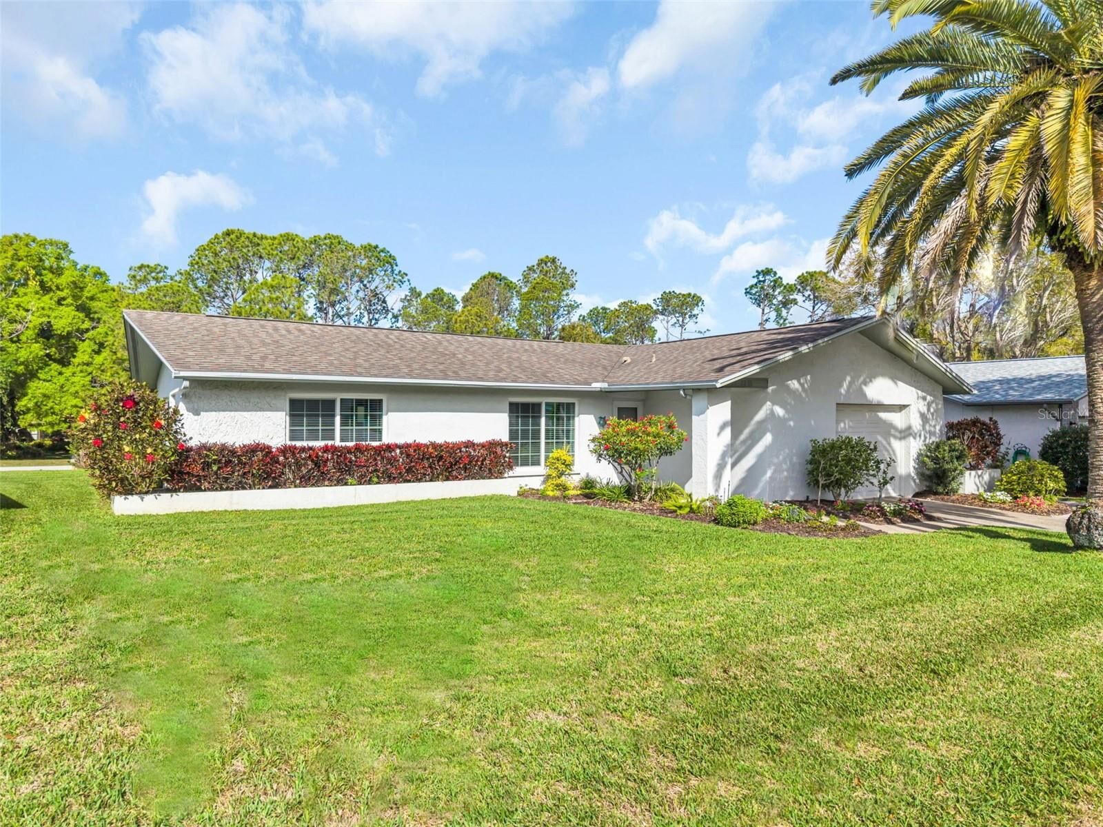 Property Photo: 2869 Doone Circle FL 34684