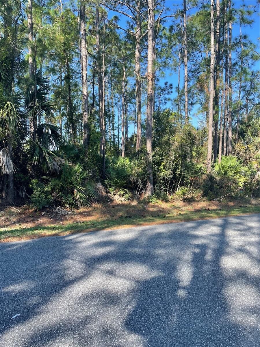 Property Photo:  69 Lindsay Drive  FL 32137 