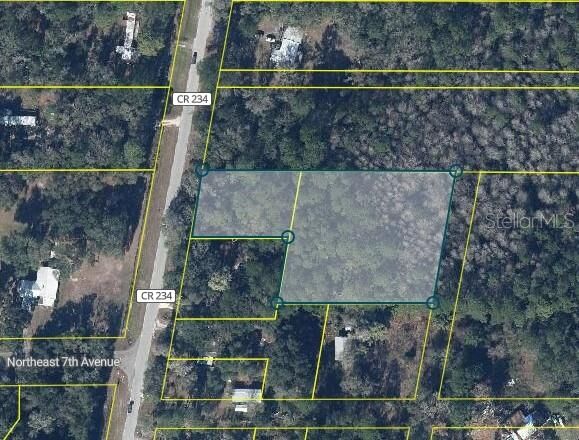 Property Photo:  Tbd NE County Road 234  FL 32641 