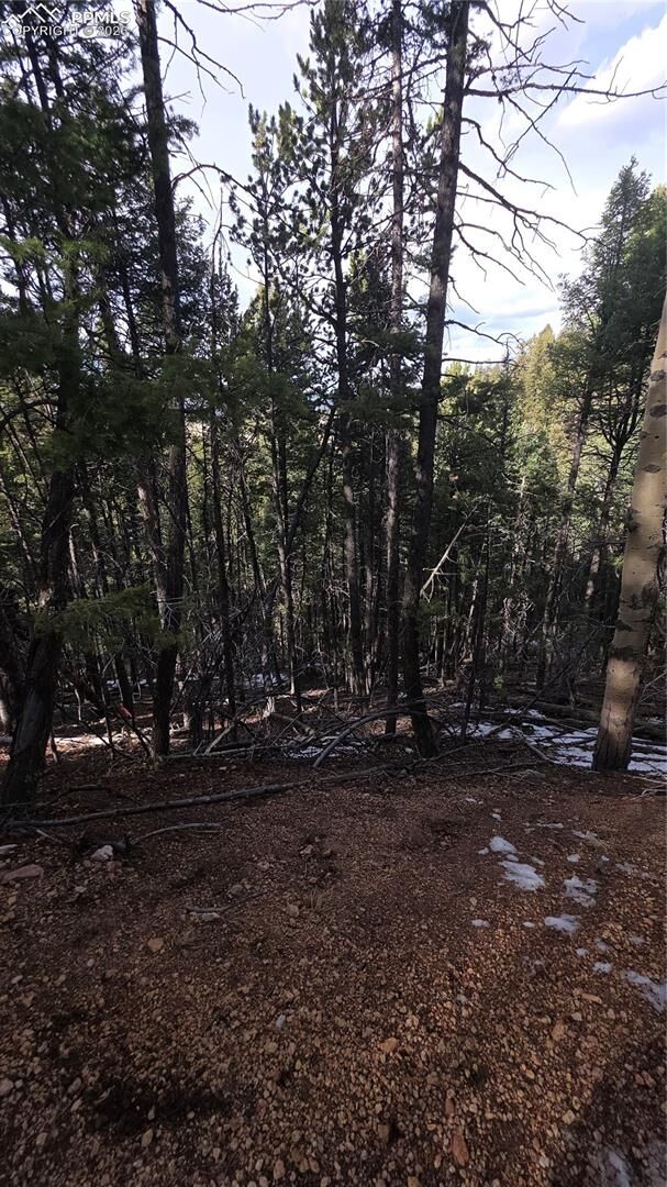 Property Photo:  157 Gitchigoomee Trail  CO 80863 