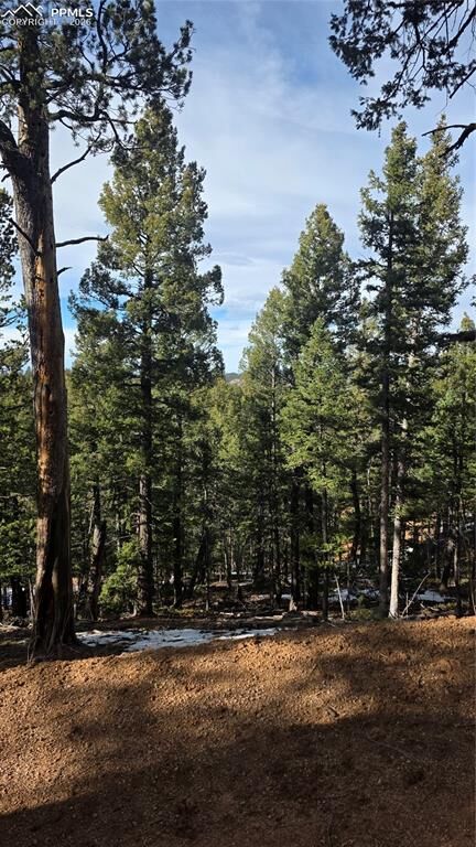 Property Photo:  307 Tillicum Trail  CO 80863 