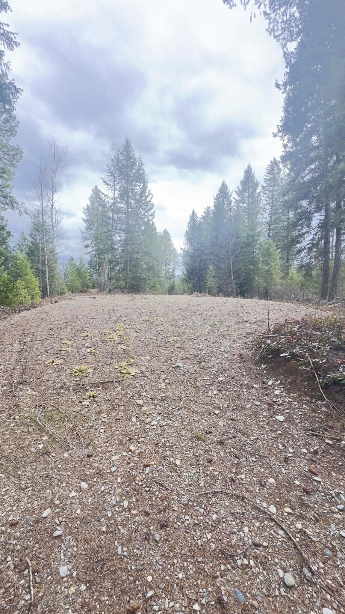 Property Photo:  Nkn Wilderness Ave  WA 99139 