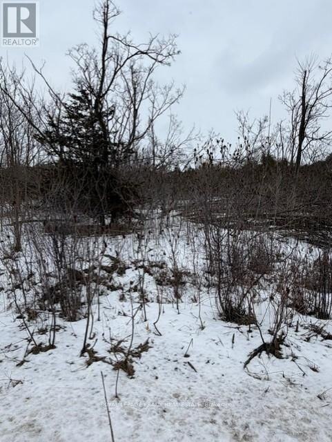 Property Photo:  Lot 3 Lakefield Road  ON K9J 6X5 