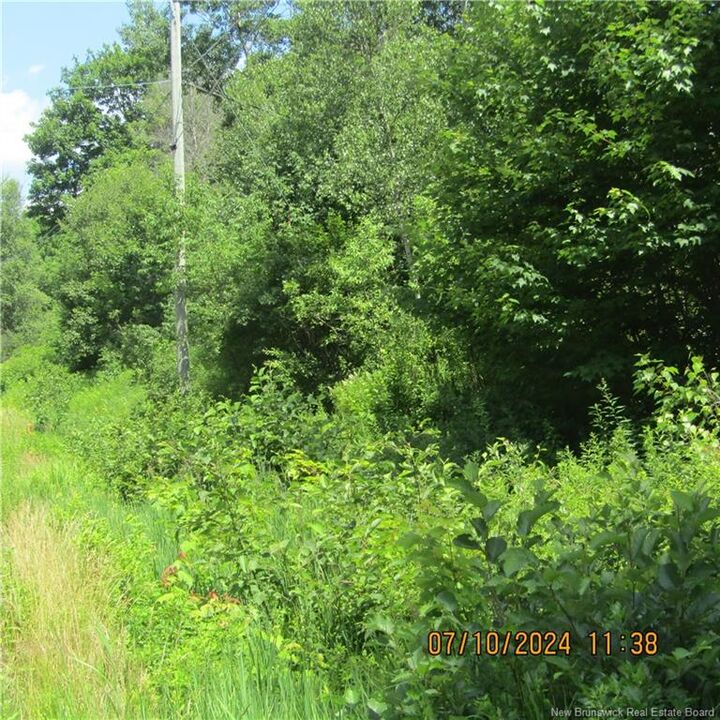 Lot 82-11 Route 770 — photo 1
