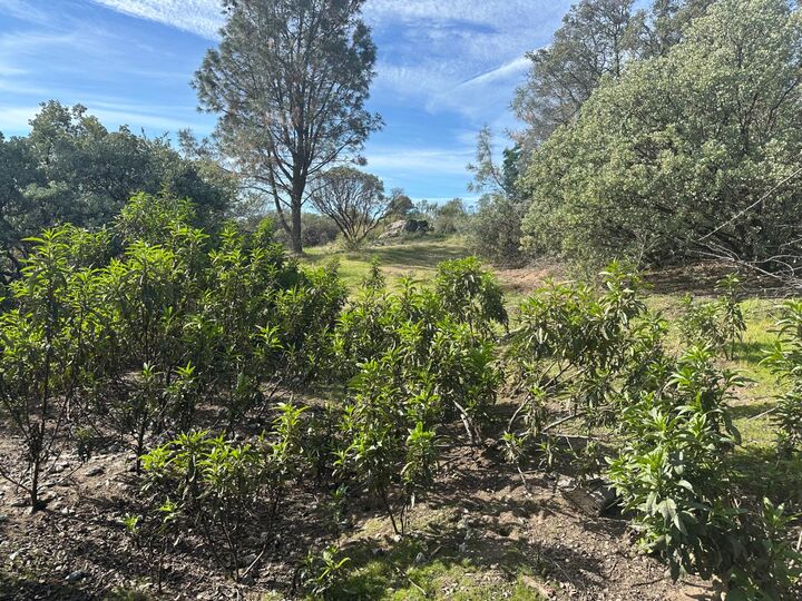 Property Photo:  9 Quartz Ridge Court  CA 93614 