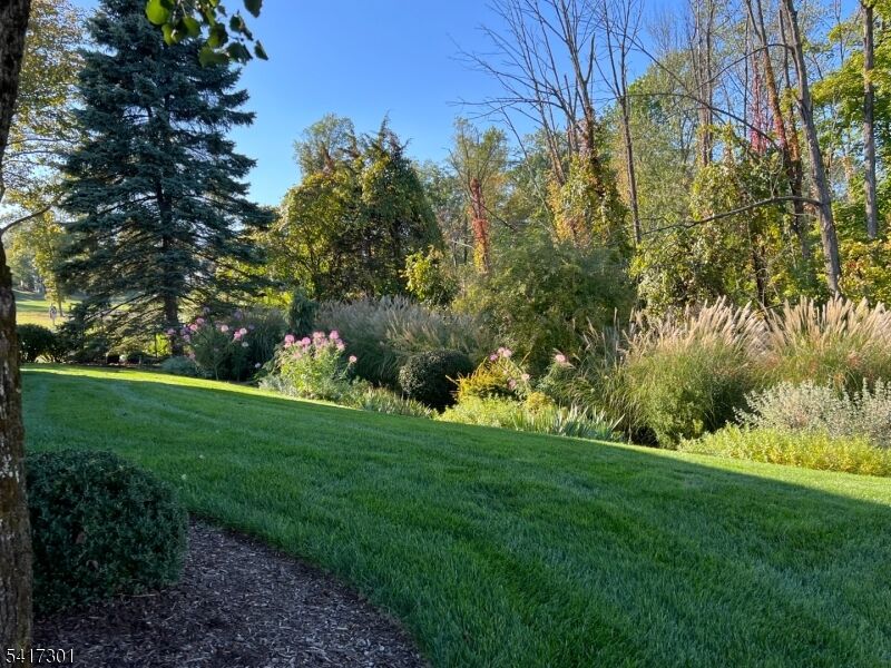 Property Photo:  24 Benedict Cres  NJ 07920 