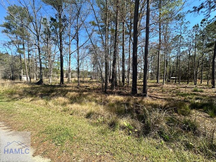 Property Photo:  102 Trail South  GA 31320 