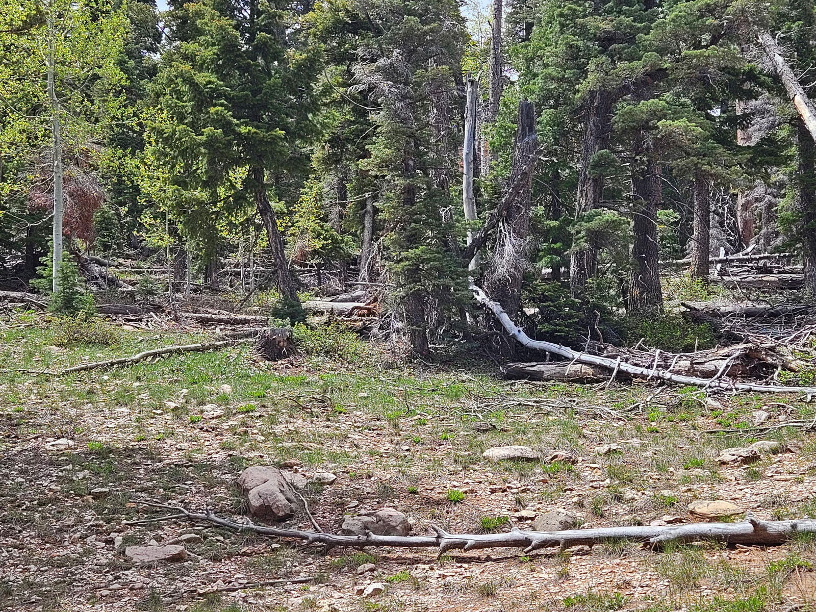 Property Photo:  6250 W Brook Ln  UT 84762 