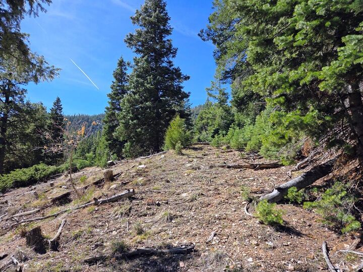 Property Photo:  Lot 42 Bonnie Green Dr  UT 84762 