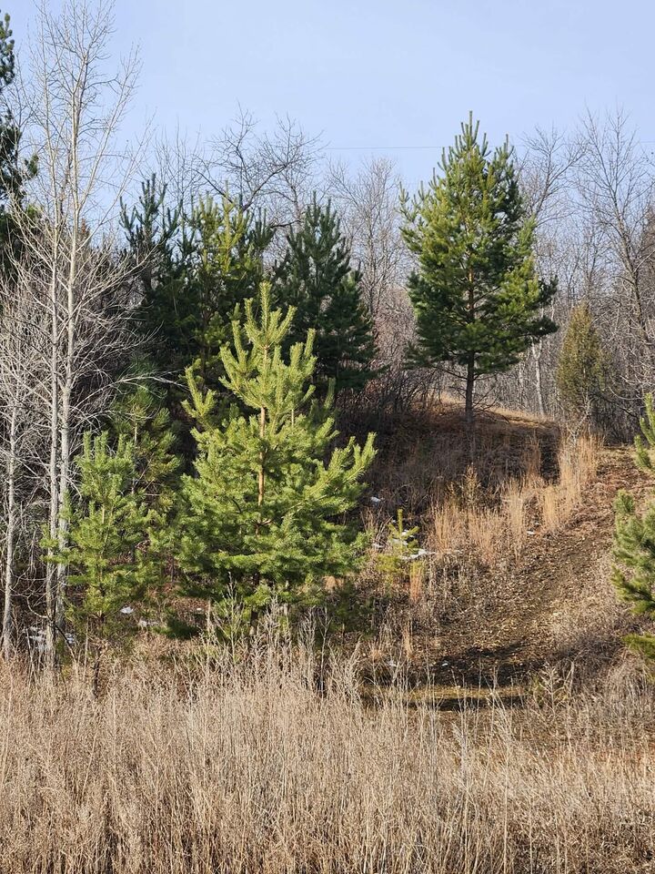 Property Photo: 00 County Road 19 SE ND 58701