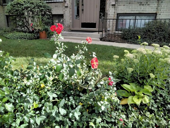 Property Photo: 1706 Northfield Square D IL 60093