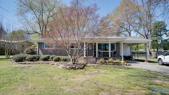 Property Photo:  3816 Hopwood Avenue  AL 35976 