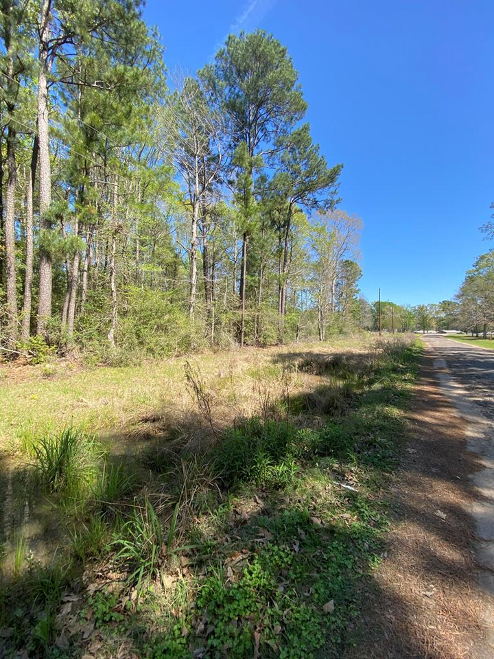 Property Photo:  Lot 189 Lakeside Drive  TX 75944 