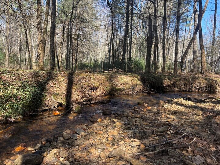 Property Photo:  127 Black Forest Lane  GA 30512 