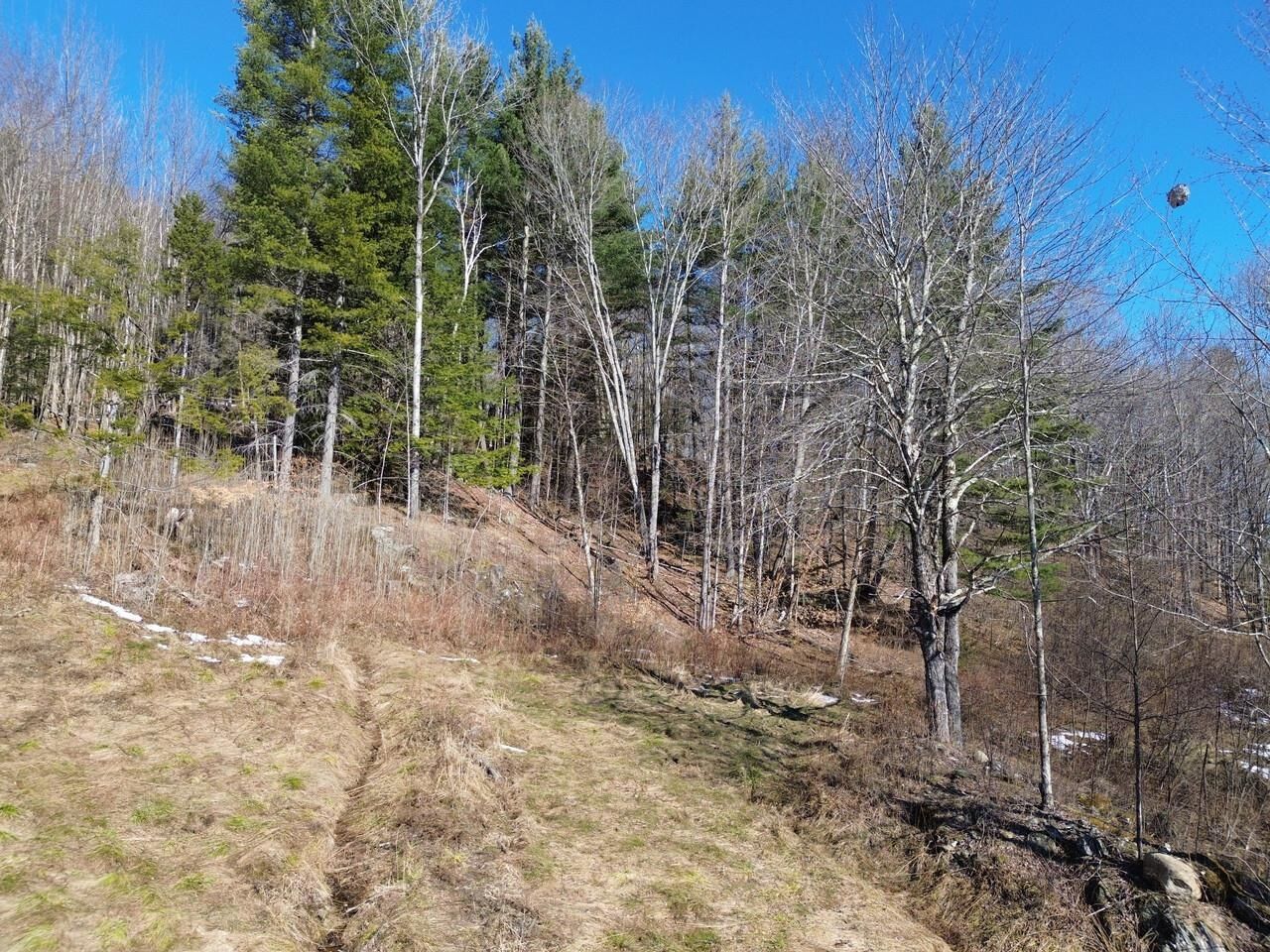 Property Photo:  00 Bent Birch Lane  VT 05674 