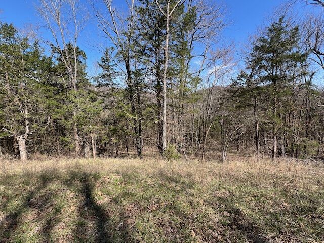 Property Photo:  14 Thunderbird Lane  AR 72631 